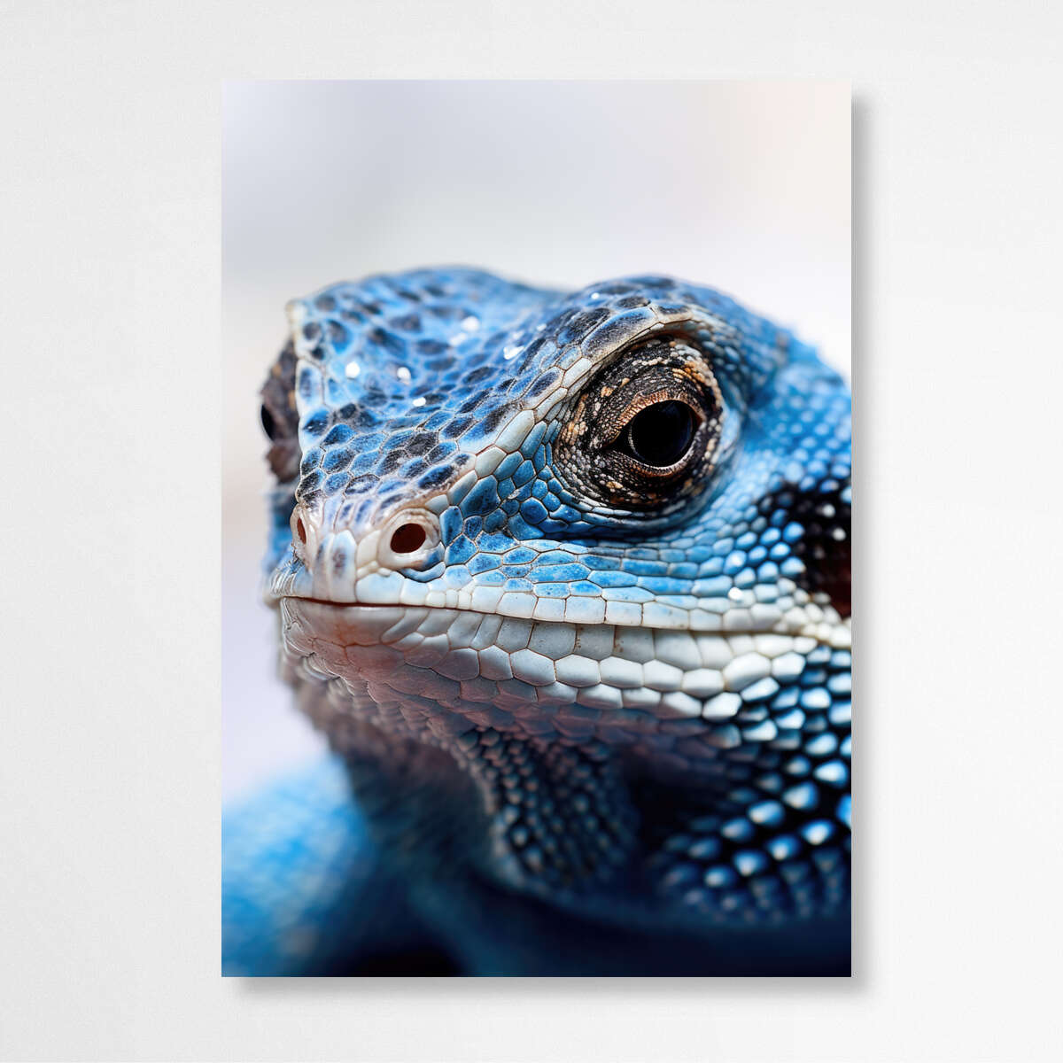Abstract Portrait of a Blue Tongued Lizard | Australiana Wall Art Prints - The Canvas Hive