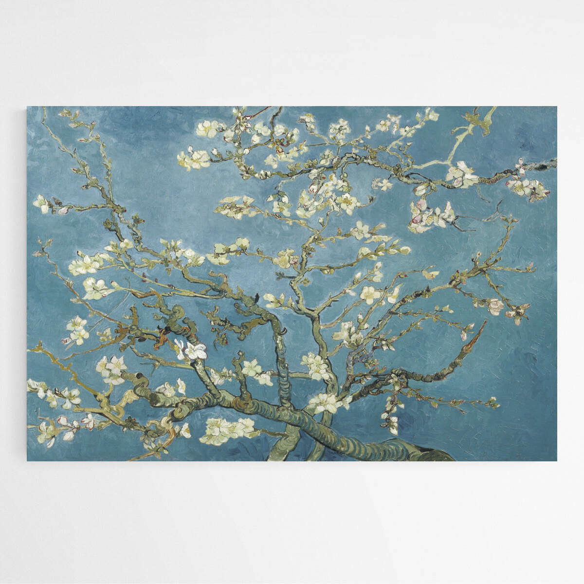 Almond blossom by Vincent Van Gogh | Vincent Van Gogh Wall Art Prints - The Canvas Hive