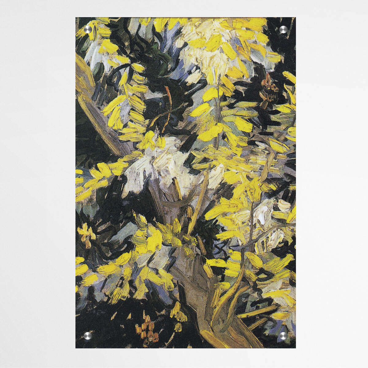 Blossoming Acacia Branches by Vincent Van Gogh | Vincent Van Gogh Wall Art Prints - The Canvas Hive