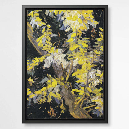 Blossoming Acacia Branches by Vincent Van Gogh | Vincent Van Gogh Wall Art Prints - The Canvas Hive