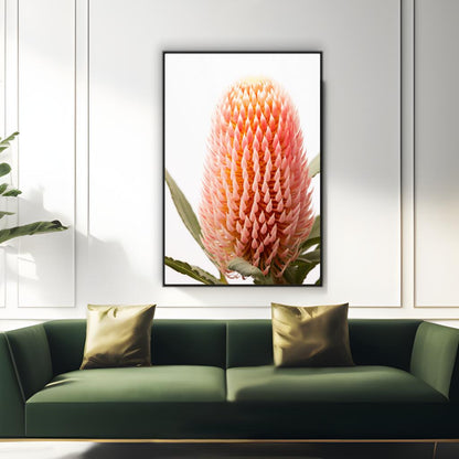 Blush Banksia Beauty | Australiana Wall Art Prints - The Canvas Hive
