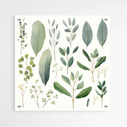 Botanical Beauty: Assortment of Eucalyptus Leaves | Australiana Wall Art Prints - The Canvas Hive