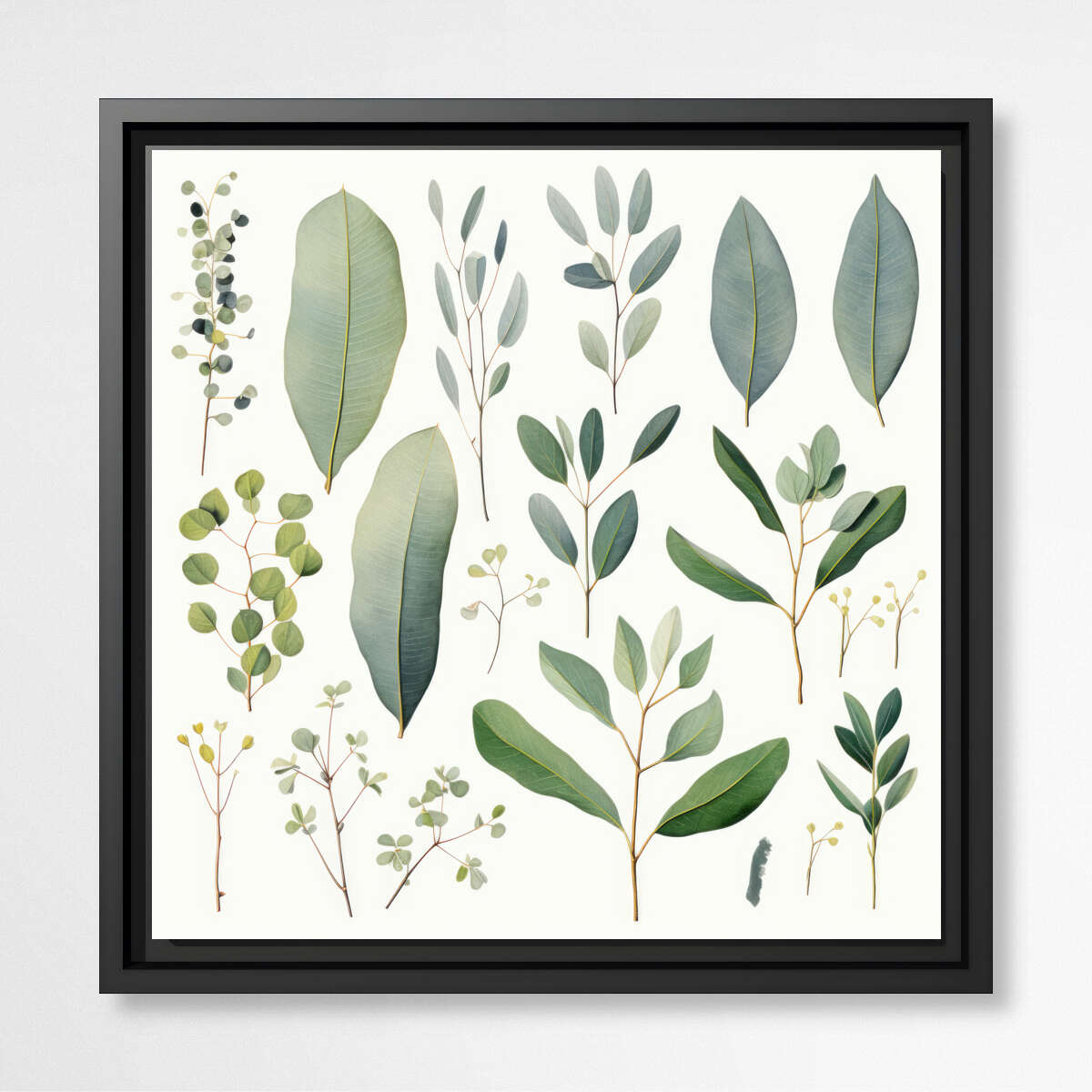 Botanical Beauty: Assortment of Eucalyptus Leaves | Australiana Wall Art Prints - The Canvas Hive