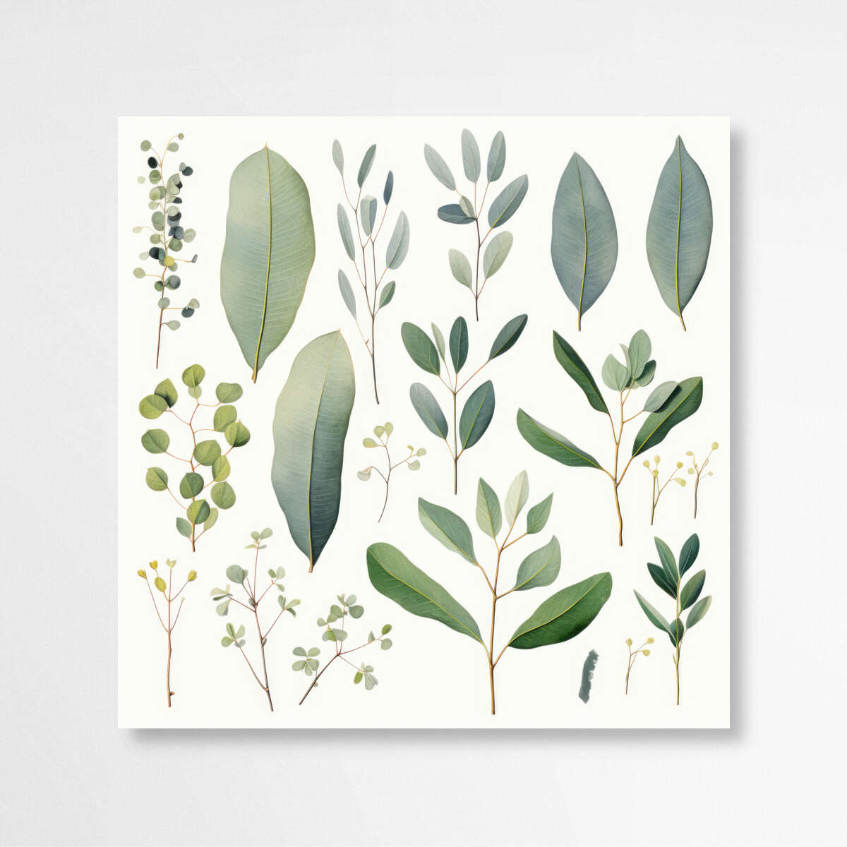 Botanical Beauty: Assortment of Eucalyptus Leaves | Australiana Wall Art Prints - The Canvas Hive