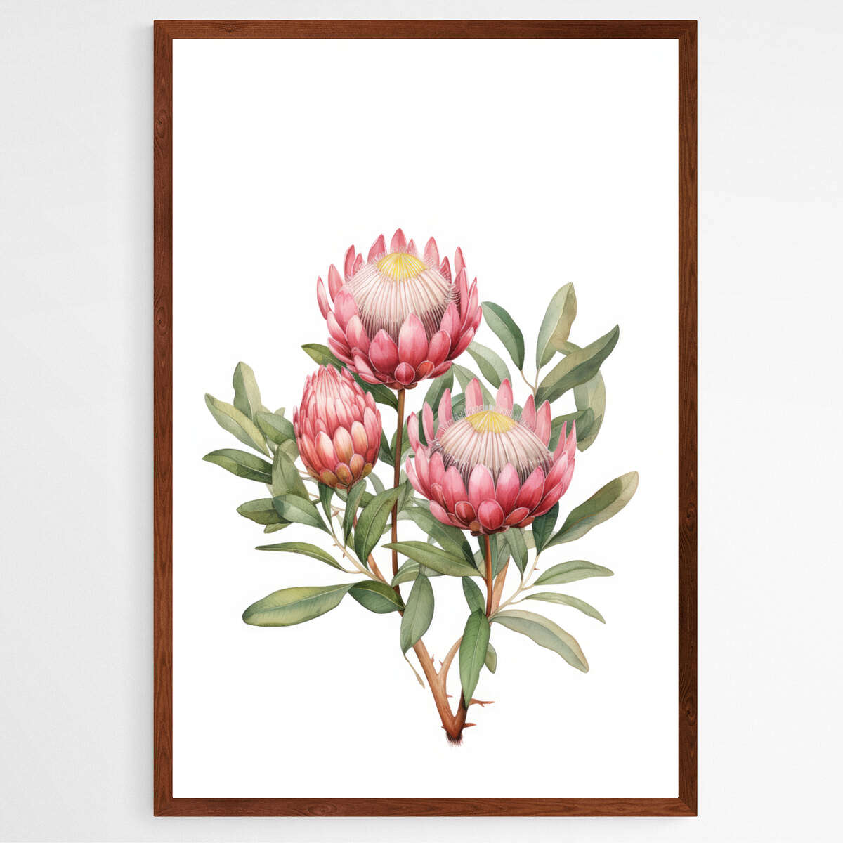 Botanical Beauty: Pink Protea Print | Australiana Wall Art Prints - The Canvas Hive