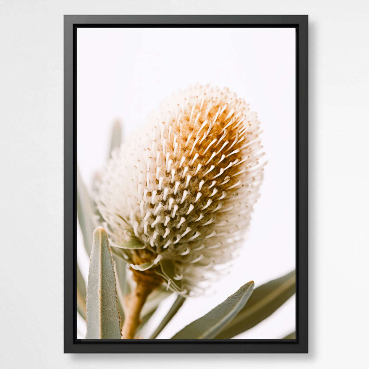 Botanical Beauty | Australiana Wall Art Prints - The Canvas Hive