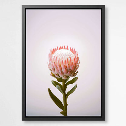 Botanical Beauty | Australiana Wall Art Prints - The Canvas Hive