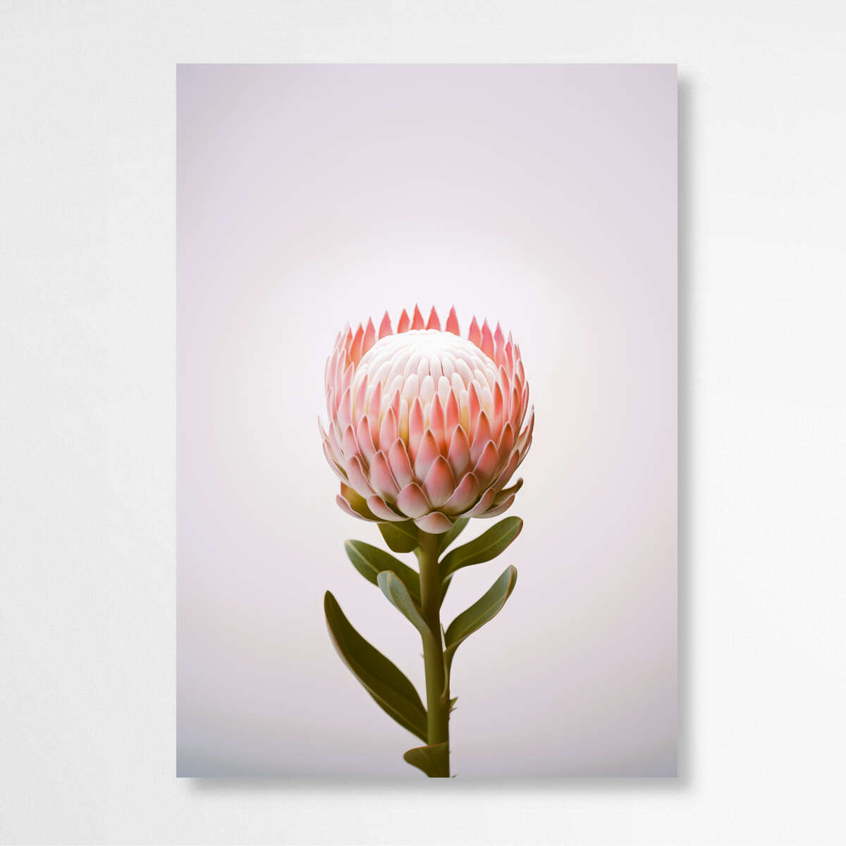 Botanical Beauty | Australiana Wall Art Prints - The Canvas Hive