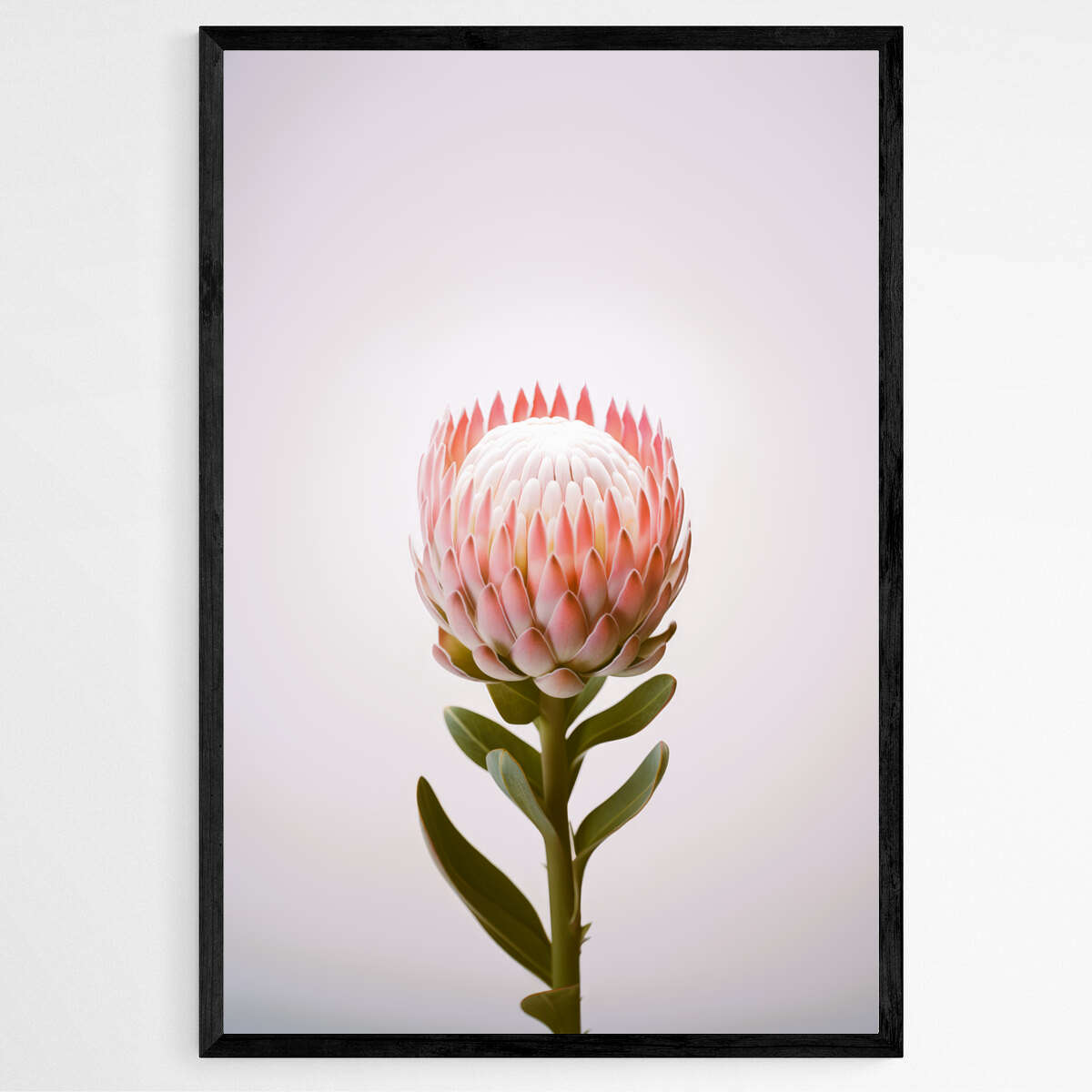 Botanical Beauty | Australiana Wall Art Prints - The Canvas Hive