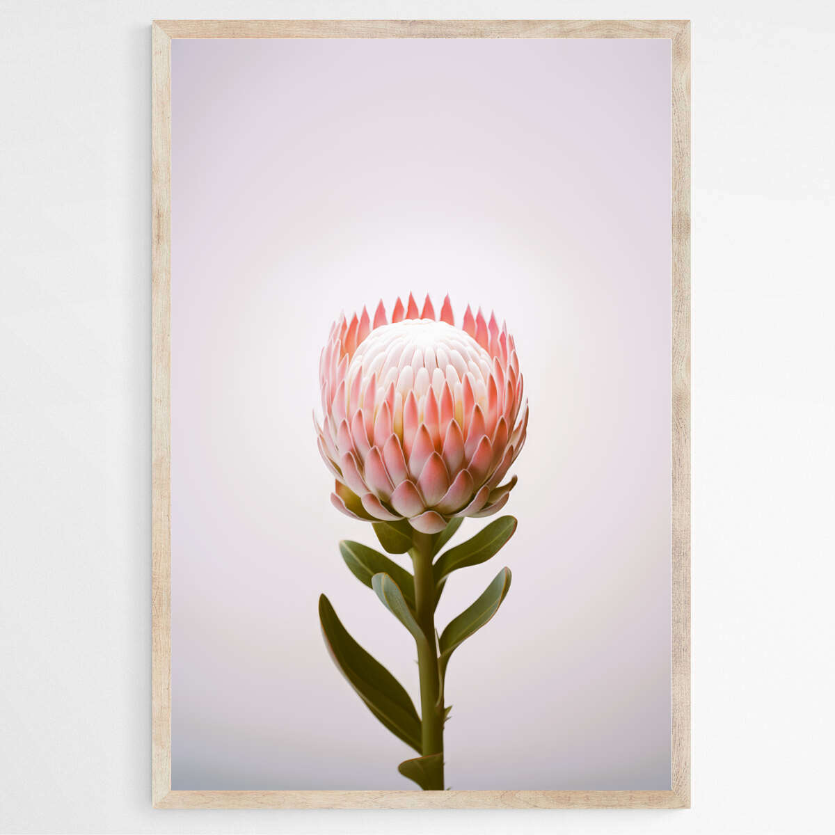 Botanical Beauty | Australiana Wall Art Prints - The Canvas Hive