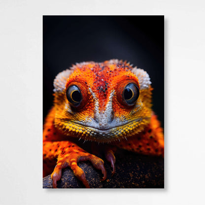 Captivating Orange Bearded Lizard Print | Australiana Wall Art Prints - The Canvas Hive