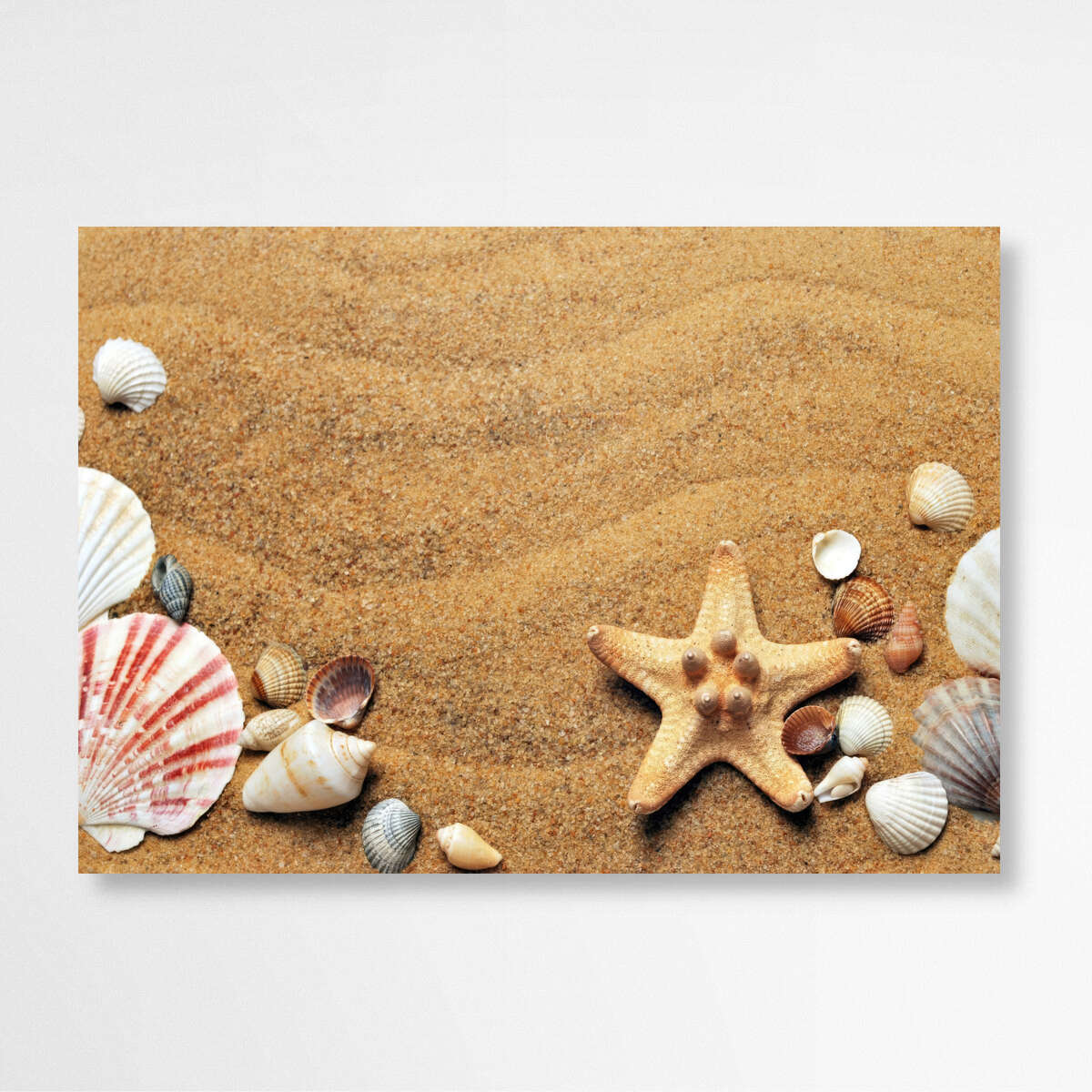 Coastal Treasures: Beachscape with Shells and Starfish | Beachside Wall Art Prints - The Canvas Hive