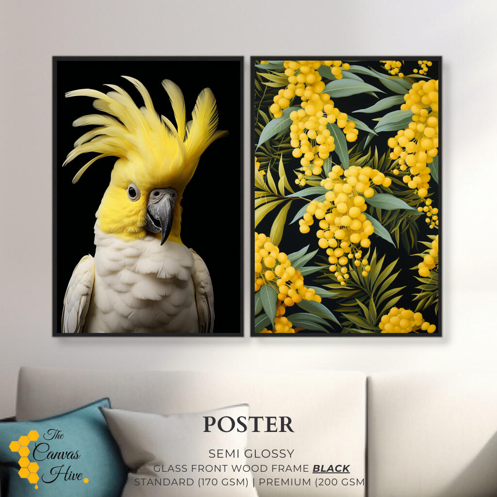 Cockatoo & Wattle Duet - Set of 2 | Sets Wall Art Prints - The Canvas Hive