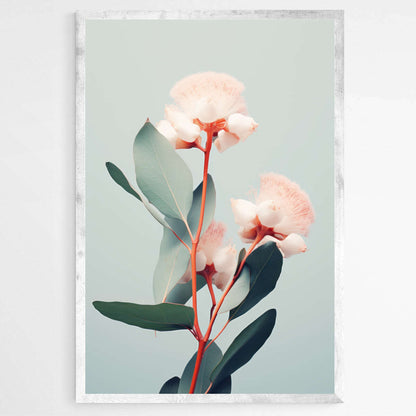 Eucalyptus Flower Print | Australiana Wall Art Prints - The Canvas Hive