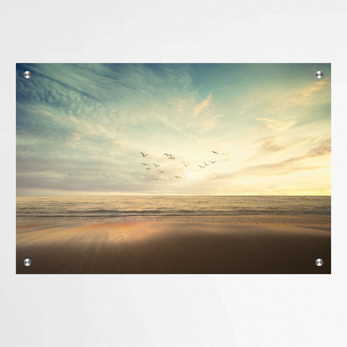 Flock of Birds - Sandy Beach San Diego | Beachside Wall Art Prints - The Canvas Hive