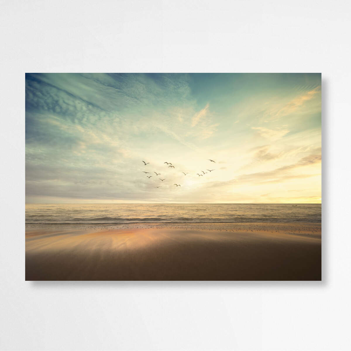 Flock of Birds - Sandy Beach San Diego | Beachside Wall Art Prints - The Canvas Hive