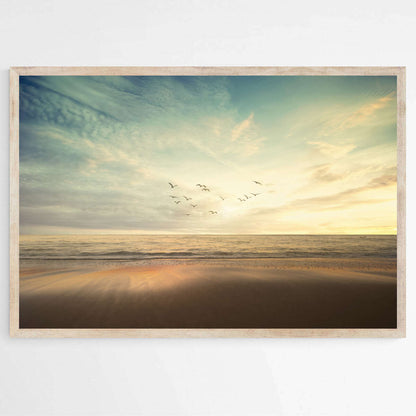 Flock of Birds - Sandy Beach San Diego | Beachside Wall Art Prints - The Canvas Hive