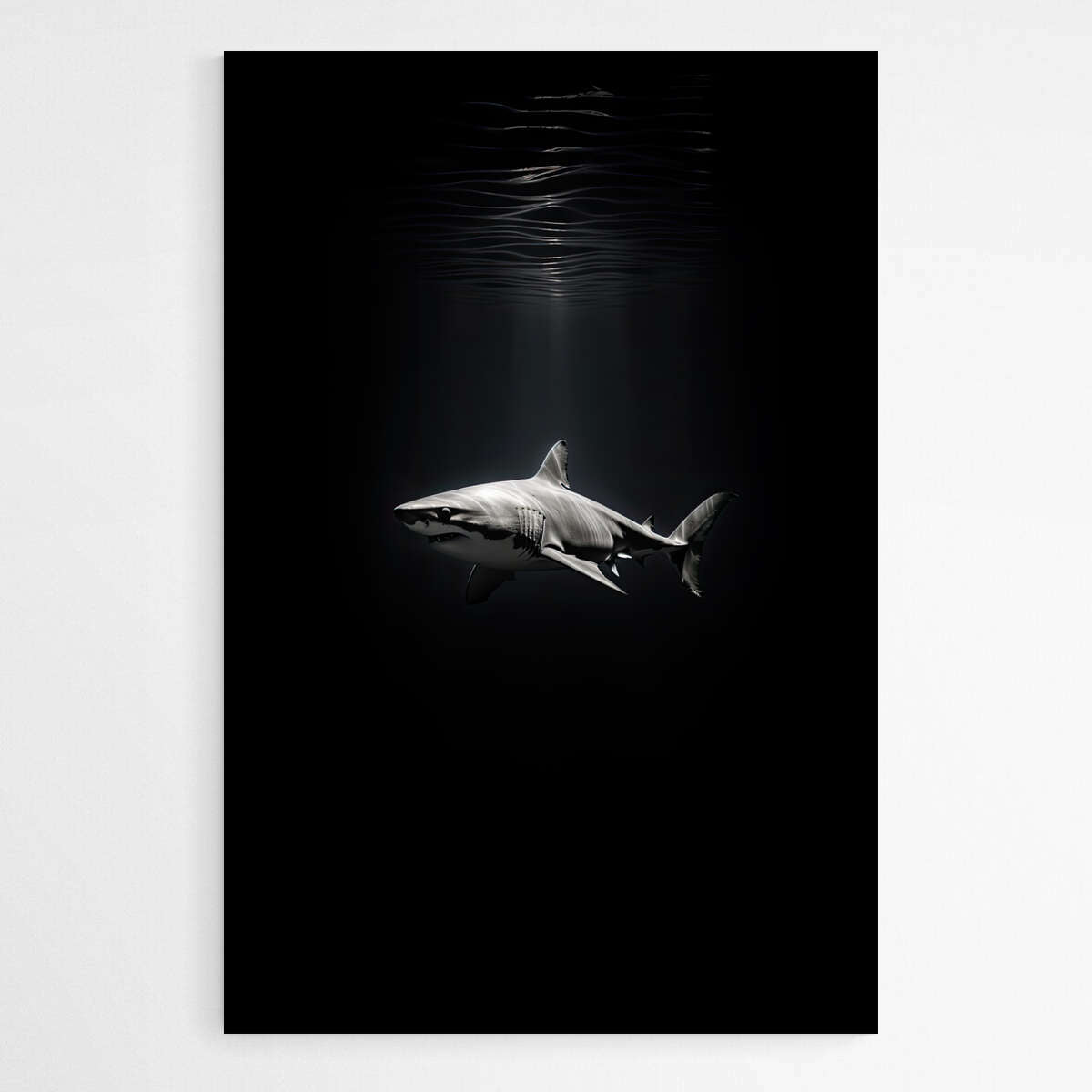 Great White Shark in Monochrome | Ocean Life Wall Art Prints - The Canvas Hive