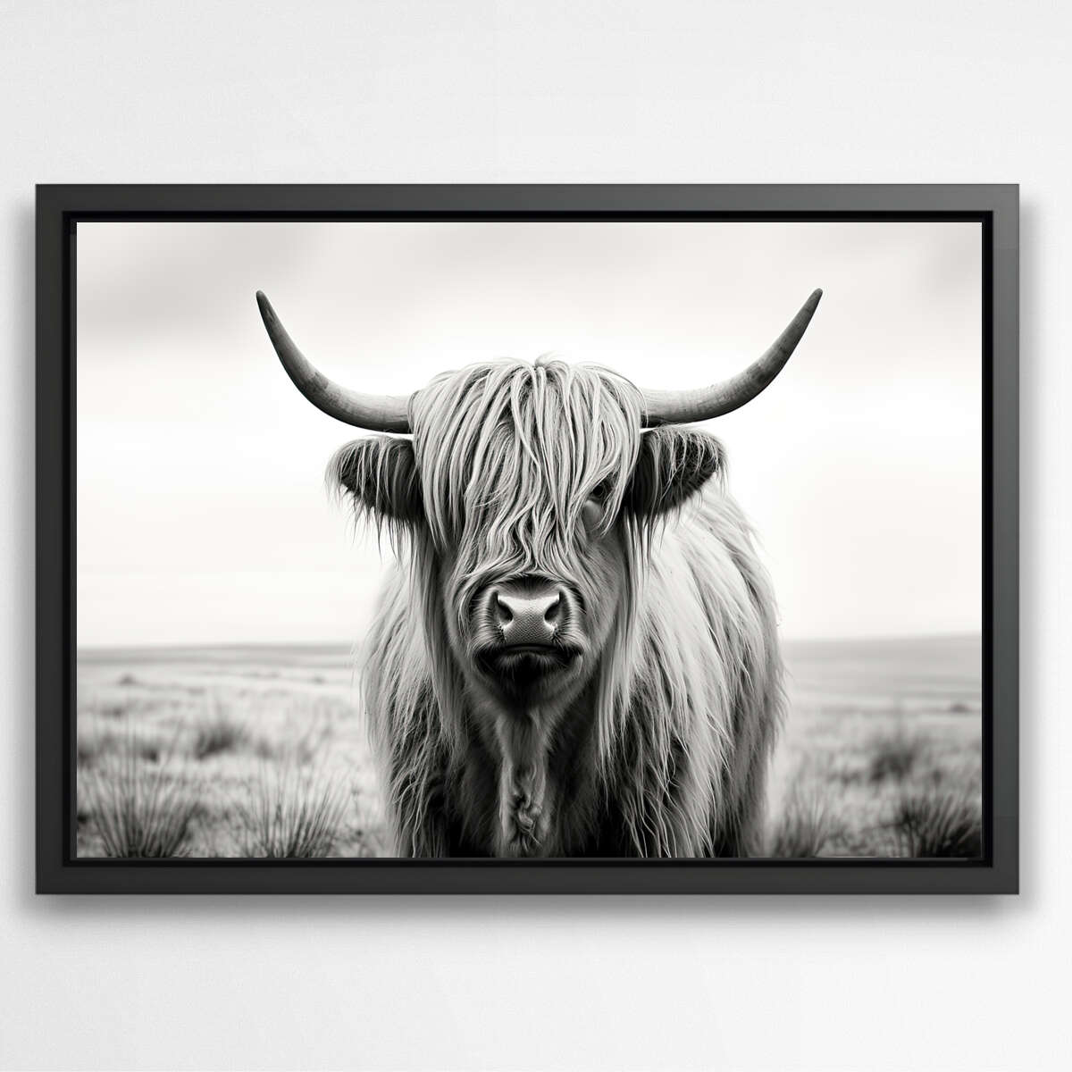 Highland Cow Black and White | Animals Wall Art Prints – The Canvas Hive