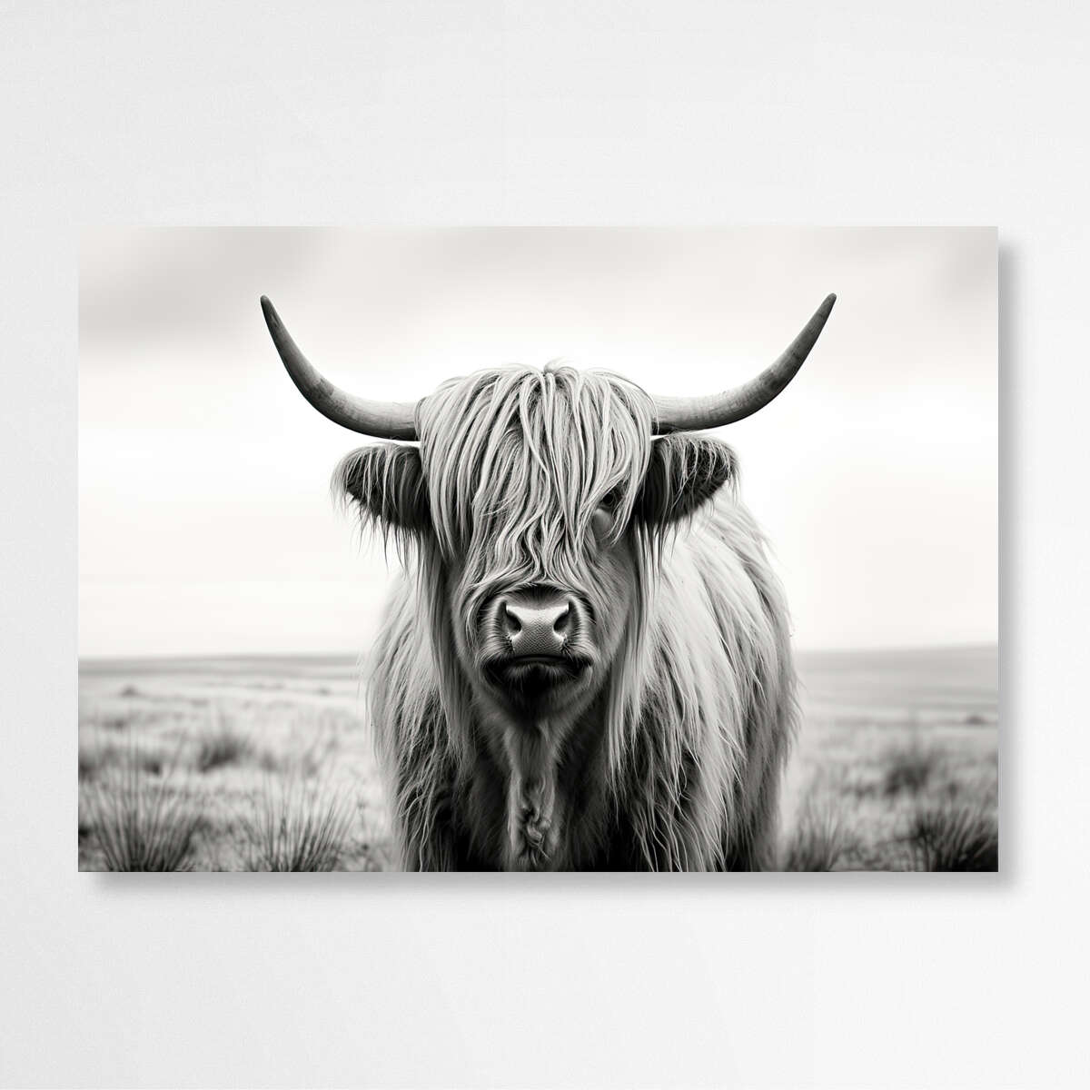 Highland Cow Black and White | Animals Wall Art Prints – The Canvas Hive