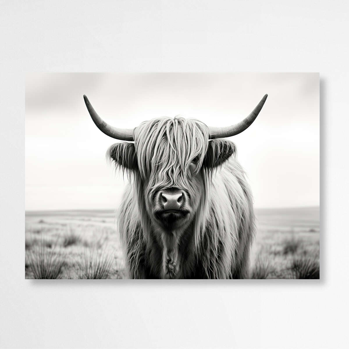 Highland Cow Black and White | Animals Wall Art Prints - The Canvas Hive