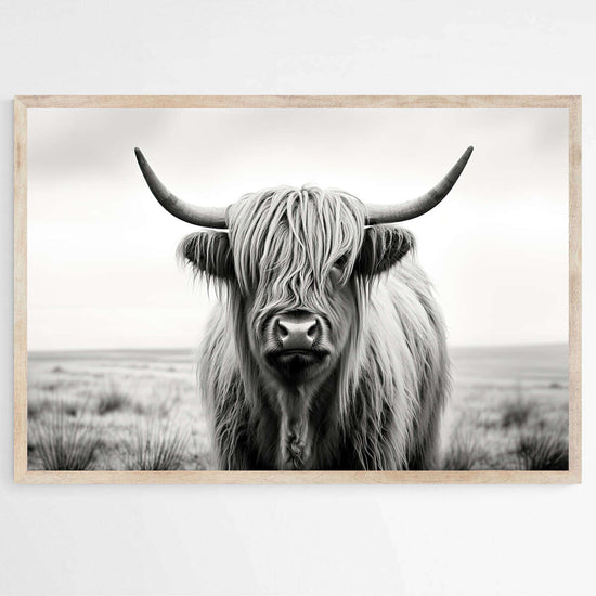 Highland Cow Black and White | Animals Wall Art Prints – The Canvas Hive