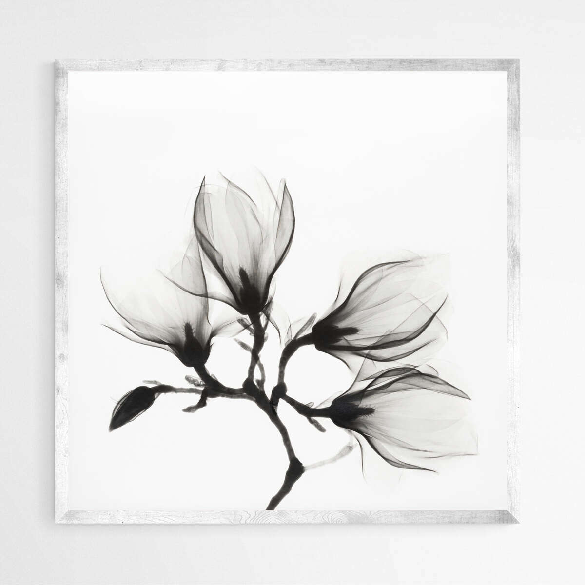 Magnolia Branch With Four Flowers | Abstract Wall Art Prints - The Canvas Hive