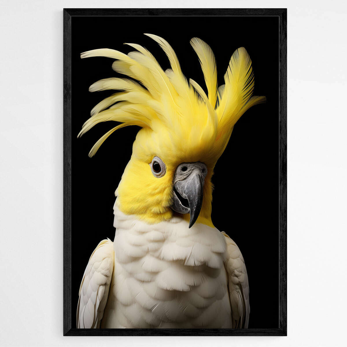 Native Australian Cockatoo in Radiant Contrast | Australiana Wall Art Prints - The Canvas Hive