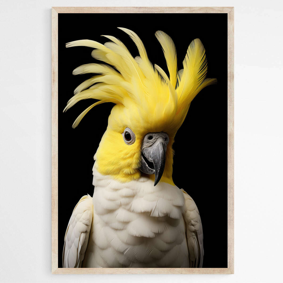 Native Australian Cockatoo in Radiant Contrast | Australiana Wall Art Prints - The Canvas Hive