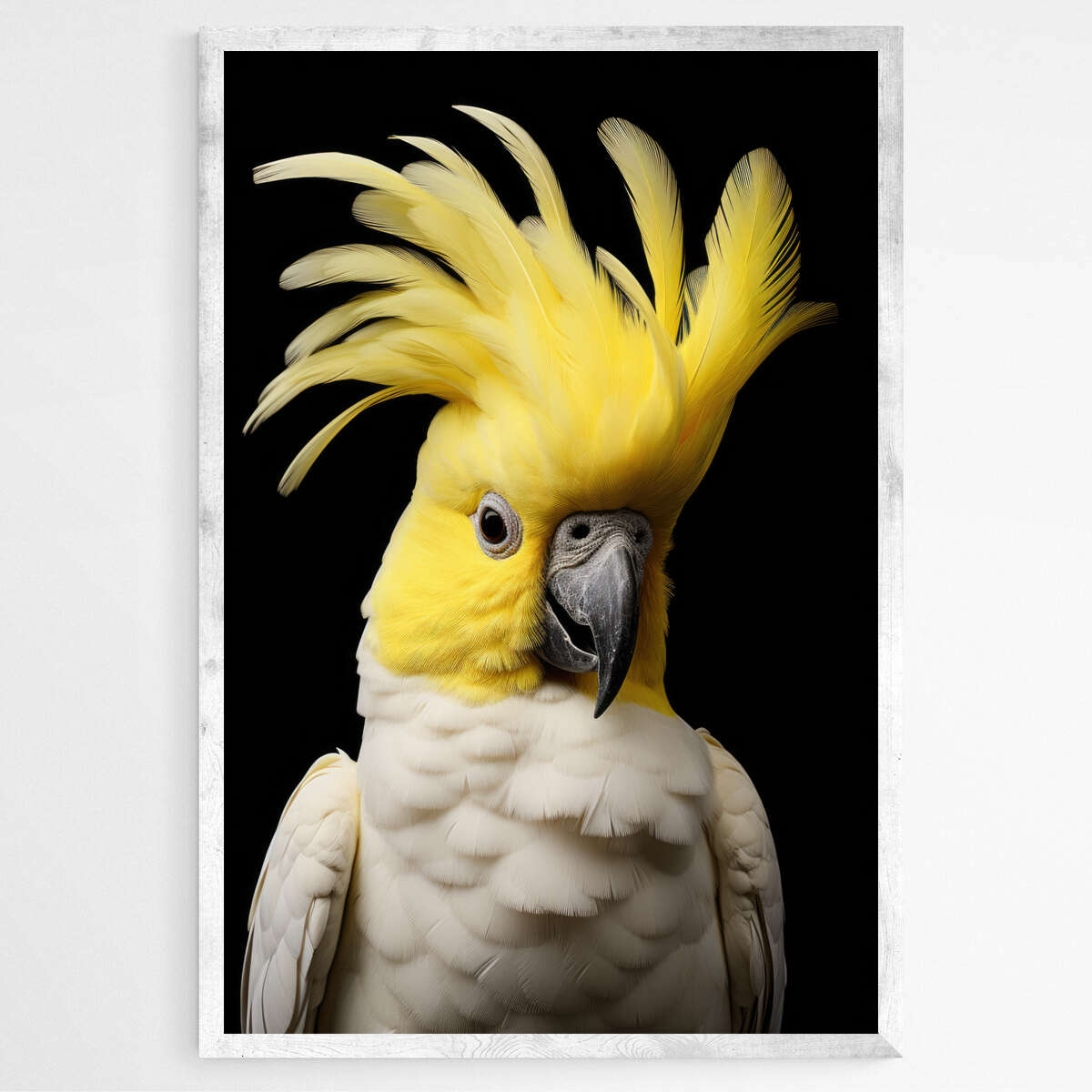 Native Australian Cockatoo in Radiant Contrast | Australiana Wall Art Prints - The Canvas Hive