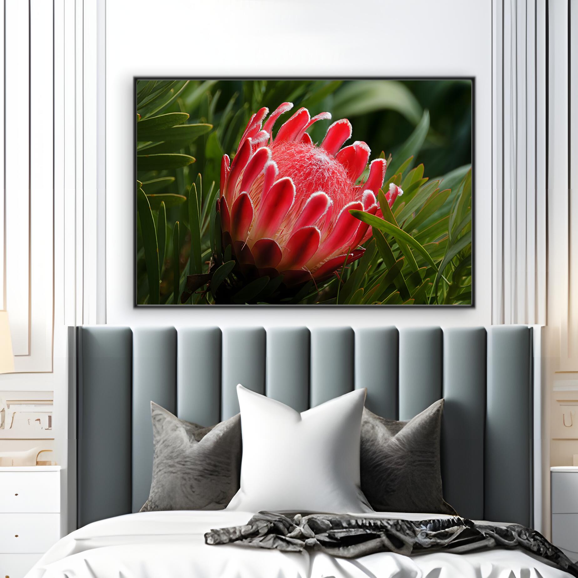 Nature's Radiance | Nature Wall Art Prints - The Canvas Hive