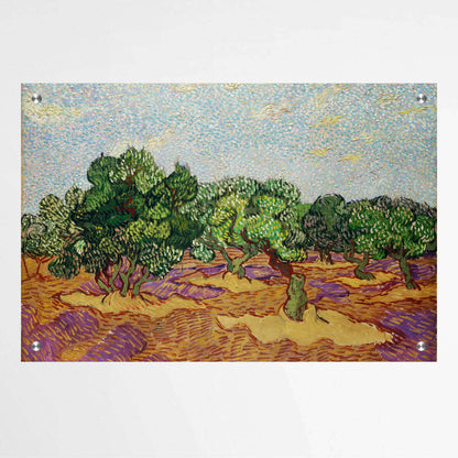 Olive Trees by Vincent Van Gogh | Vincent Van Gogh Wall Art Prints - The Canvas Hive