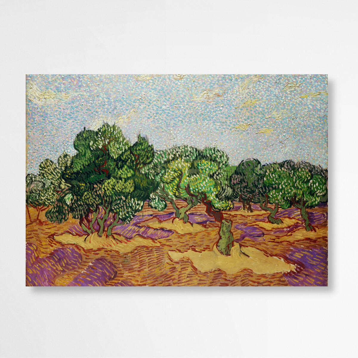 Olive Trees by Vincent Van Gogh | Vincent Van Gogh Wall Art Prints - The Canvas Hive