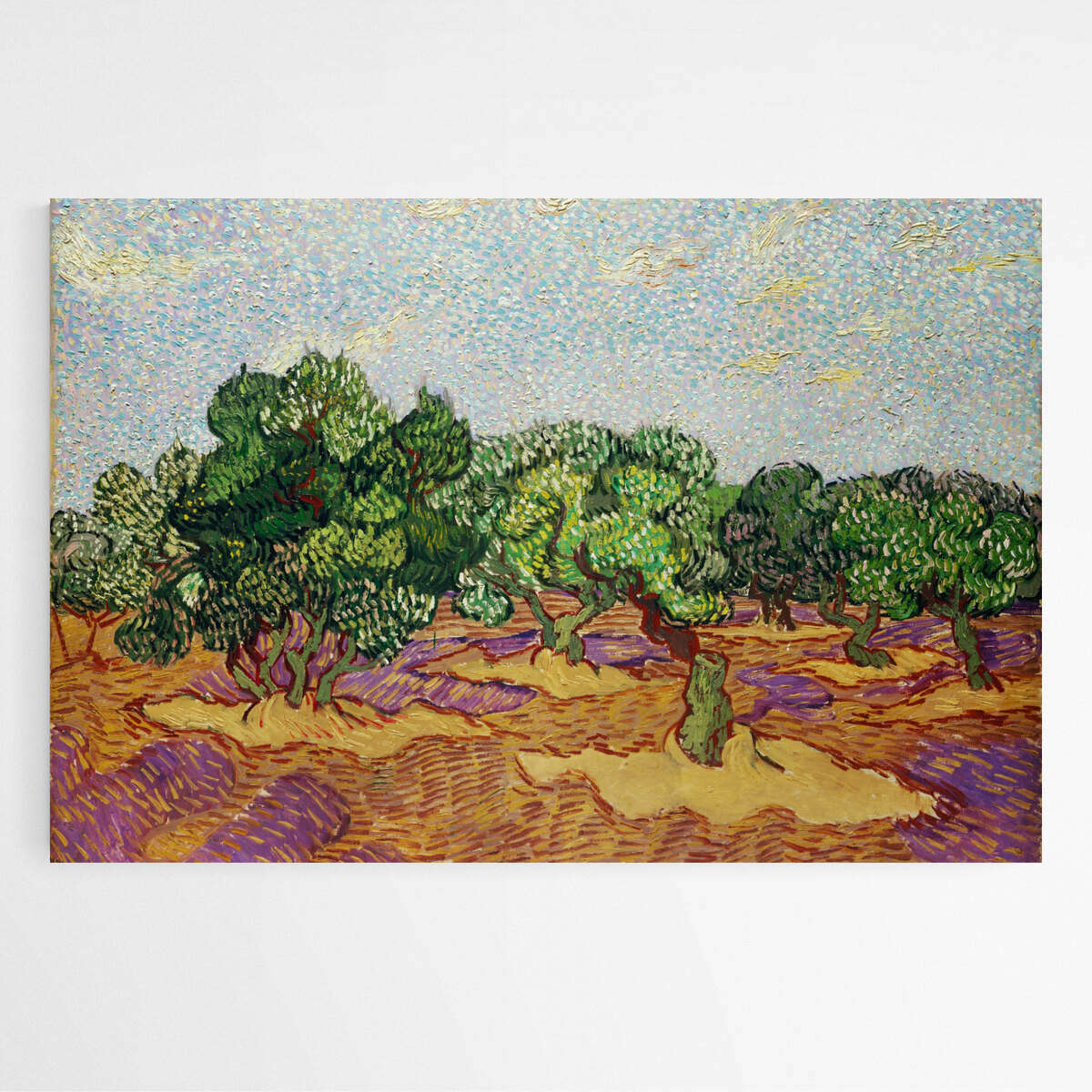 Olive Trees by Vincent Van Gogh | Vincent Van Gogh Wall Art Prints - The Canvas Hive