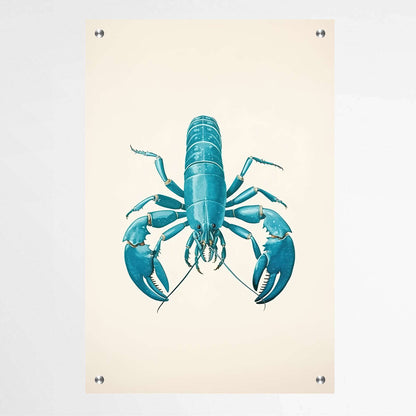 Teal Blue Lobster | Sea Life Wall Art Prints - The Canvas Hive