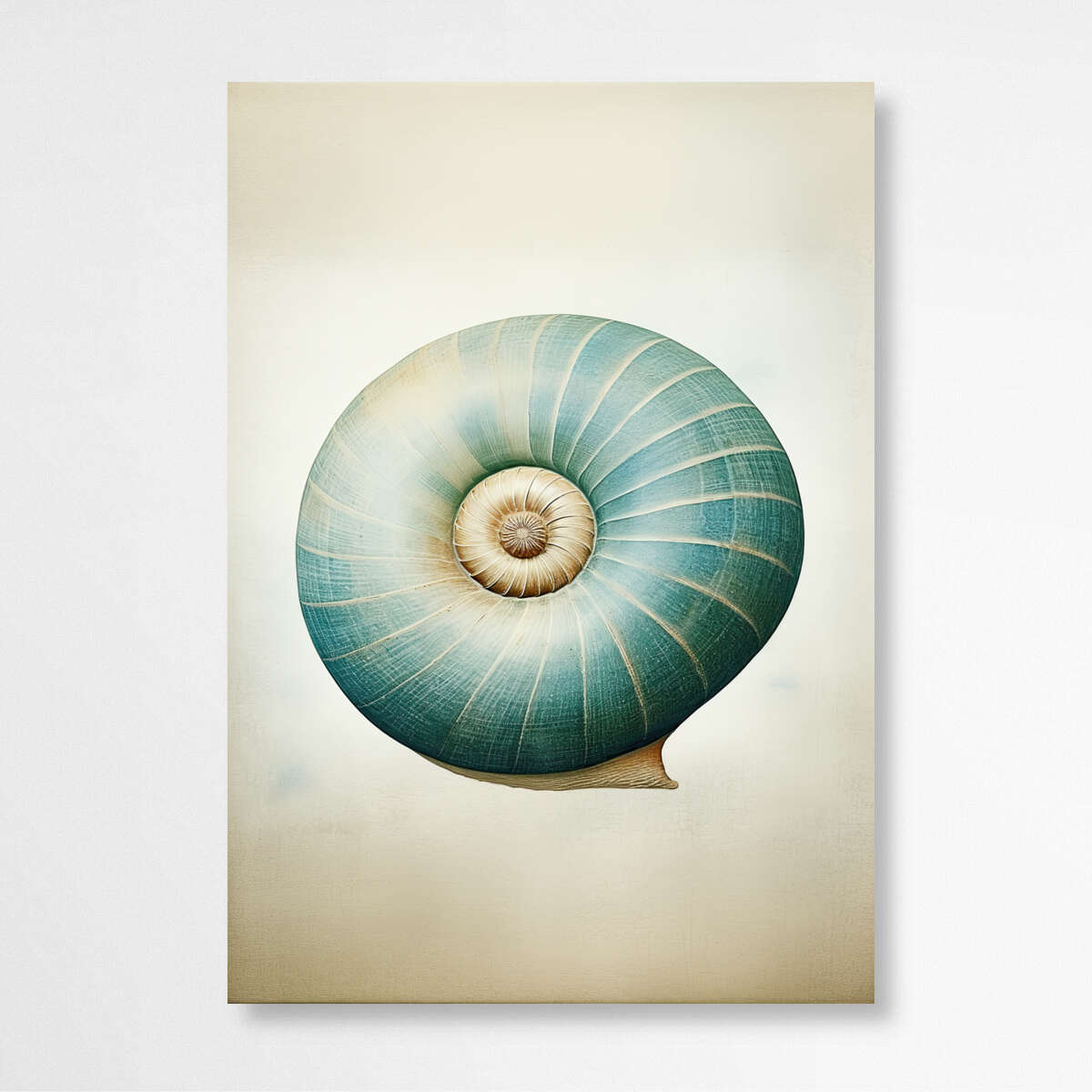 Teal Blue Snail Shell | Sea Life Wall Art Prints - The Canvas Hive