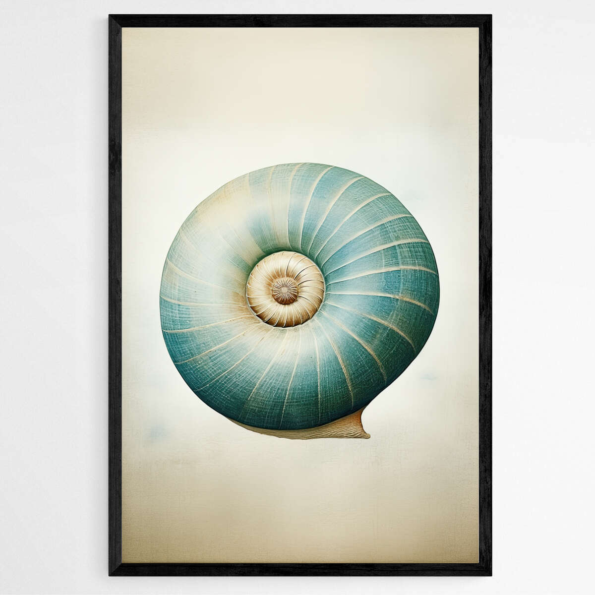 Teal Blue Snail Shell | Sea Life Wall Art Prints - The Canvas Hive