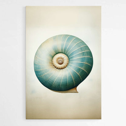 Teal Blue Snail Shell | Sea Life Wall Art Prints - The Canvas Hive