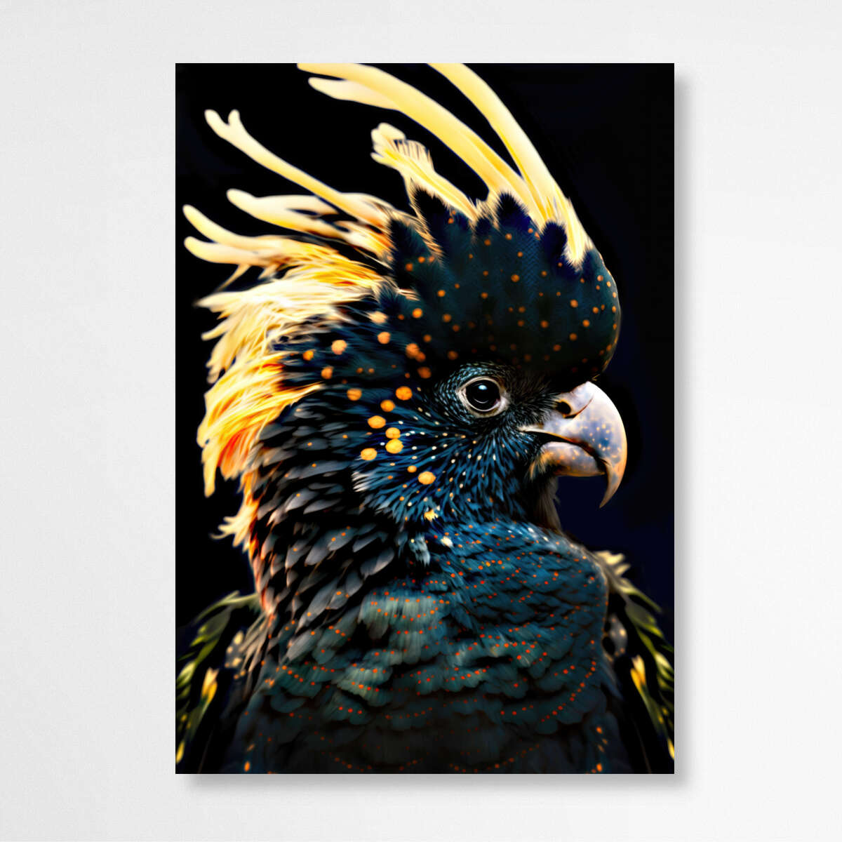 The Enigmatic Black Cockatoo | Animals Wall Art Prints - The Canvas Hive