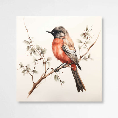 Vibrant Australian Scarlet Robin Birds Watercolor | Australiana Wall Art Prints - The Canvas Hive